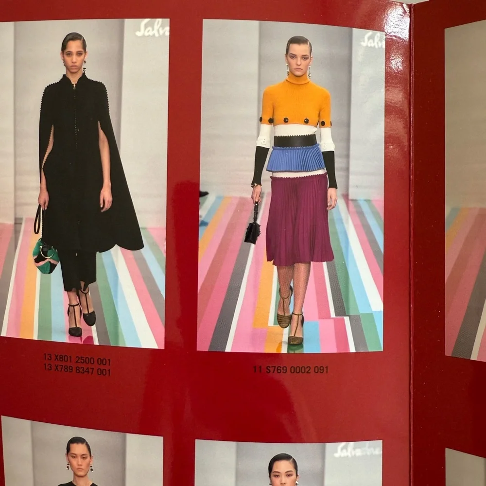 Salvatore Ferragamo fall winter 2016 runway dress - Picture 11 of 11